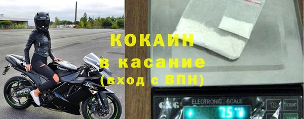 индика Володарск