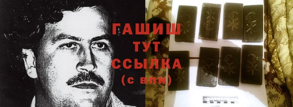 индика Володарск