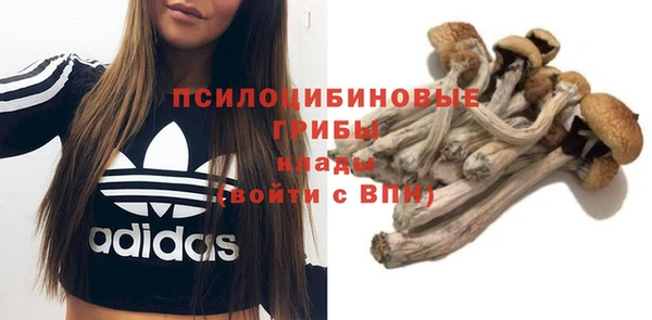 винт Куйбышев