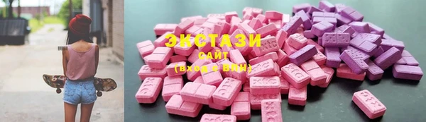 индика Володарск