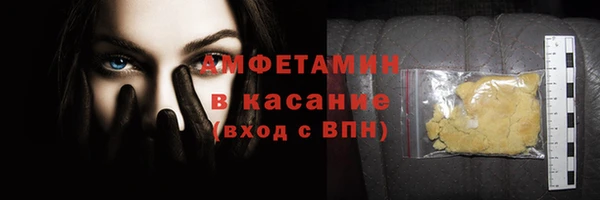 индика Володарск