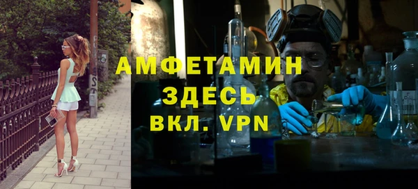 индика Володарск
