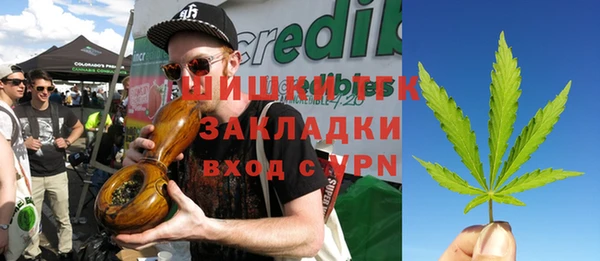 индика Володарск