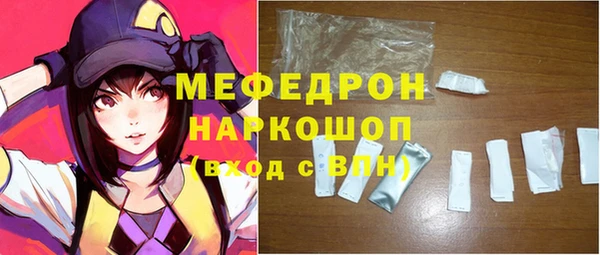 индика Володарск