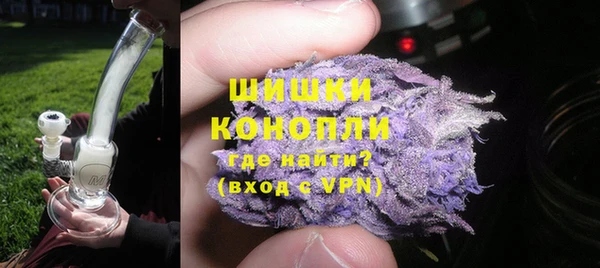 индика Володарск