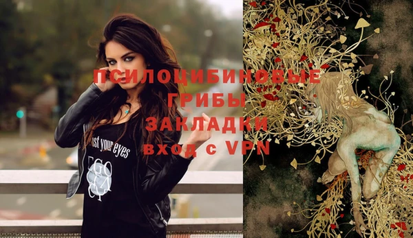 2c-b Кукмор