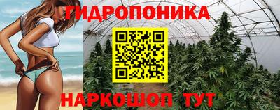 2c-b Дубна