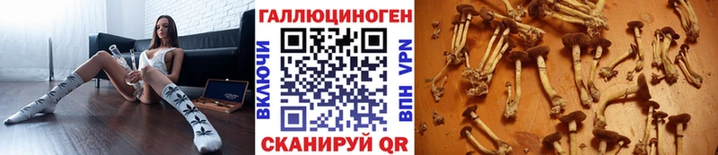 Галлюциногенные грибы MAGIC MUSHROOMS Мариинск
