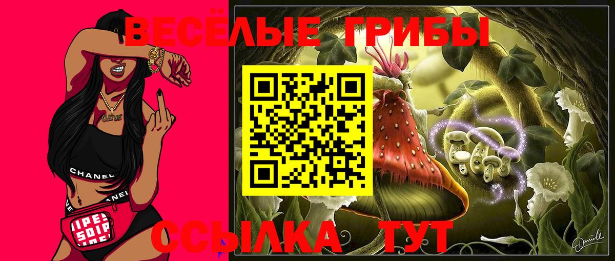 Мариинск  Псилоцибиновые грибы прущие грибы  Вход с VPN  Псилоцибиновые грибы MAGIC MUSHROOMS 